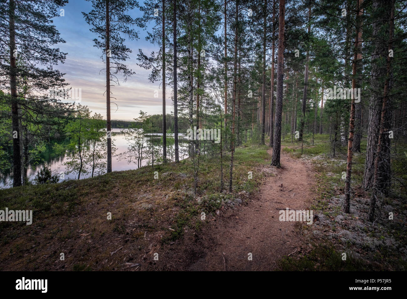 Paysage panoramique sur la forêt avec chemin idyllique et lumière du soir à Loppi, Finlande Banque D'Images
