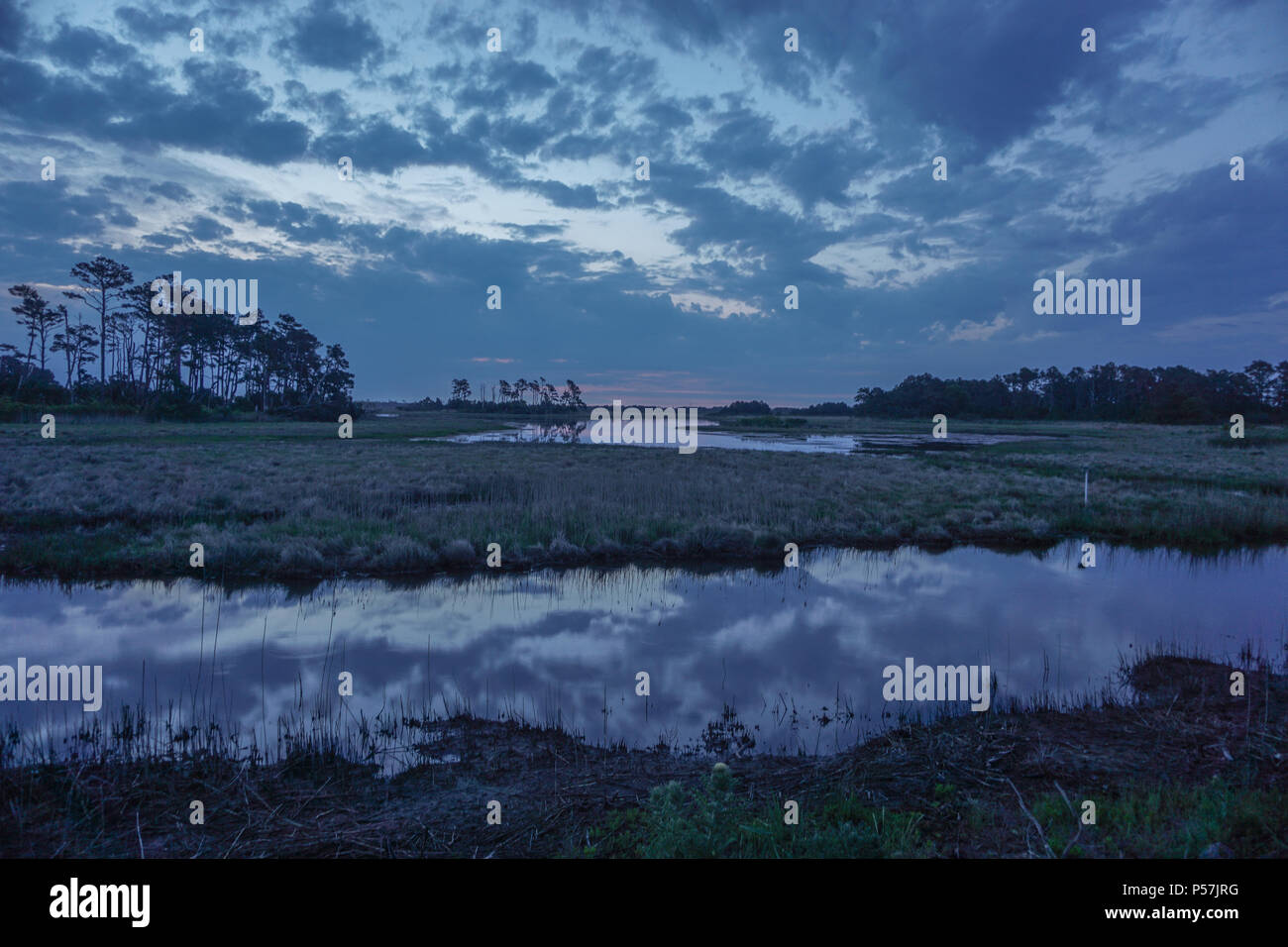 Chincoteague Island, Virginie, USA : Lever du soleil à la piscine, du Canard noir dans le Chincoteague National Wildlife Refuge. Banque D'Images