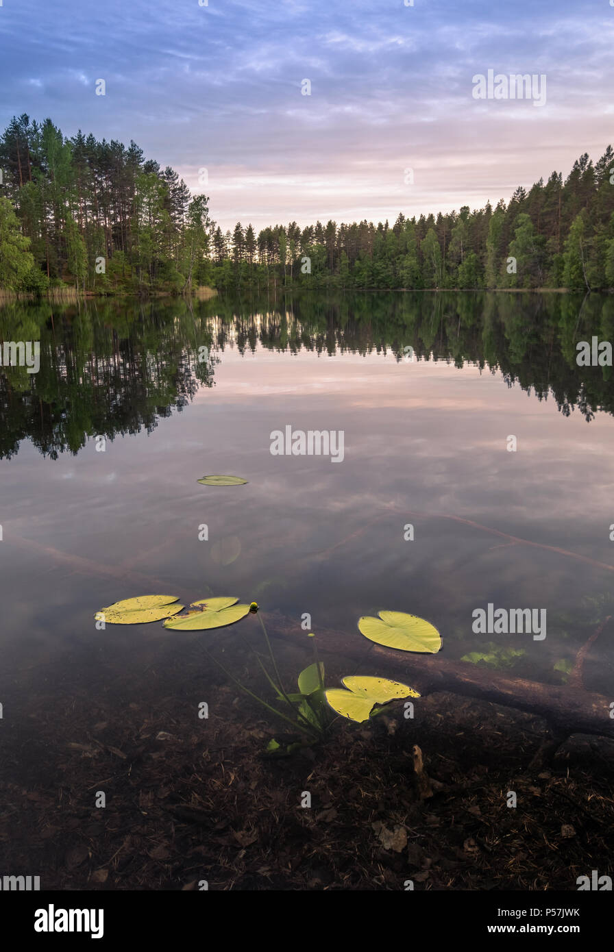 Le pittoresque lac paysage avec de l'eau lumineuse et le soir la lumière à l'été à Loppi, Finlande Banque D'Images