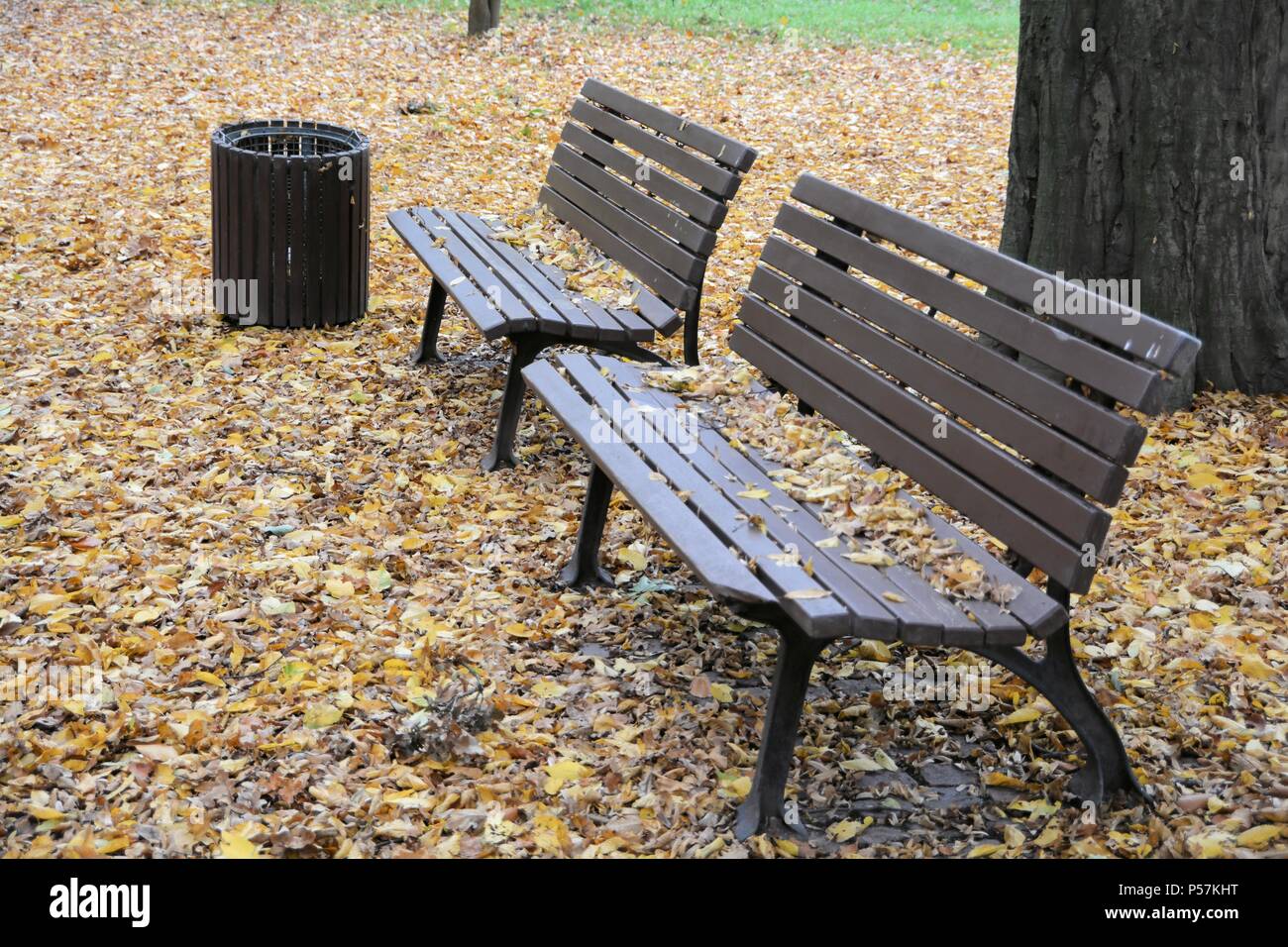 Des bancs dans un parc à Magdebourg Banque D'Images