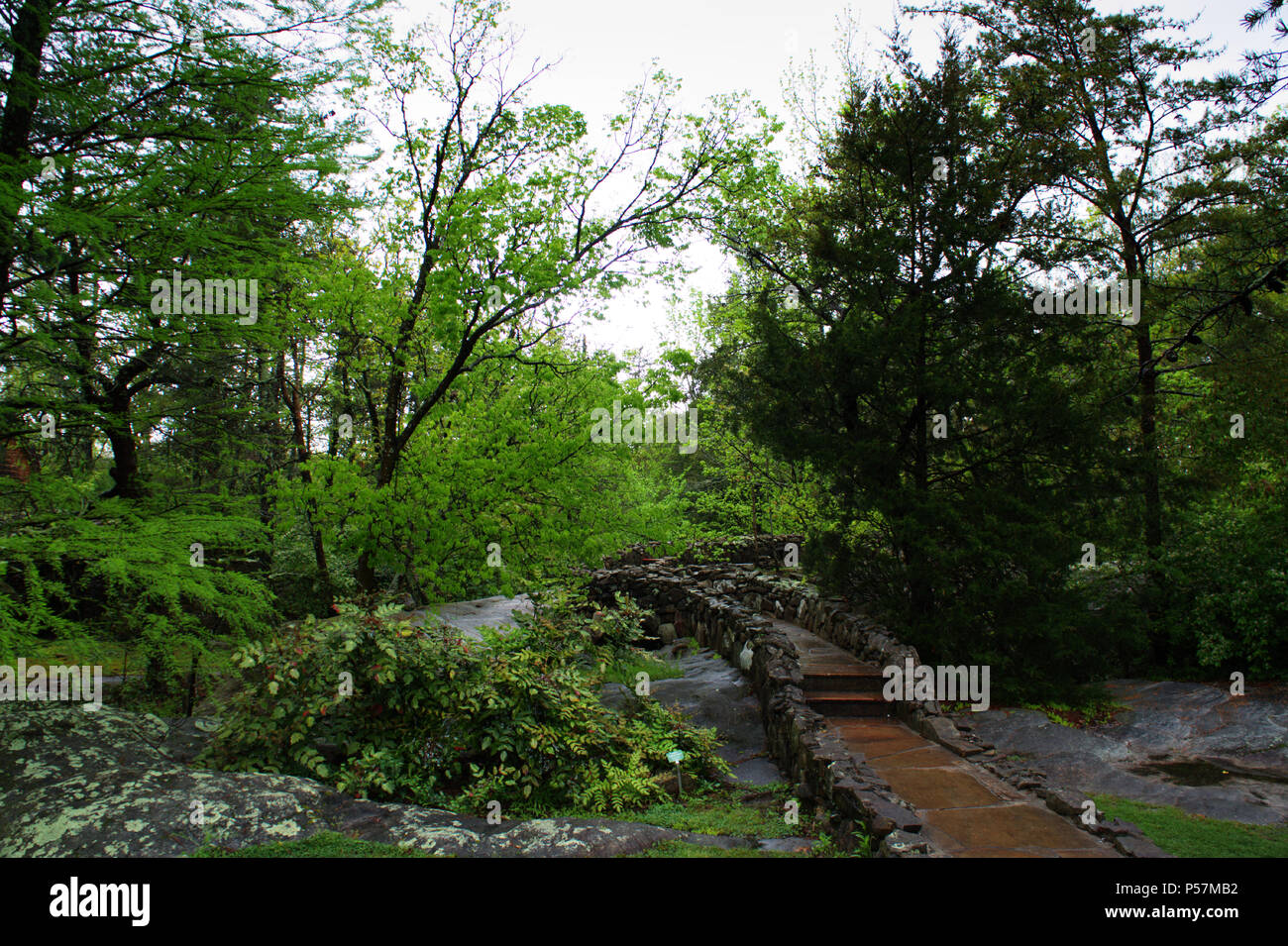 Nature - USA - AMT - GA - Smoky Mountains & Rock City (Lookout Mountain) Banque D'Images