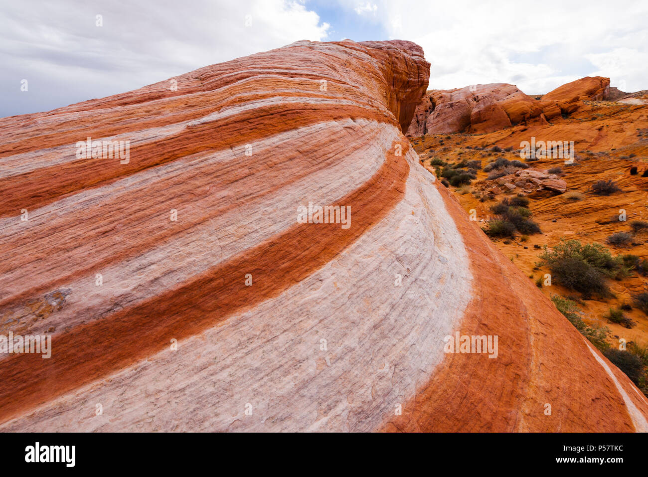 La vague de feu, l'une des nombreuses fonctionnalités créées par les dunes de sable pétrifiée créer le paysage unique de la Vallée de Feu dans le sud du parc d'état de Nevada Banque D'Images