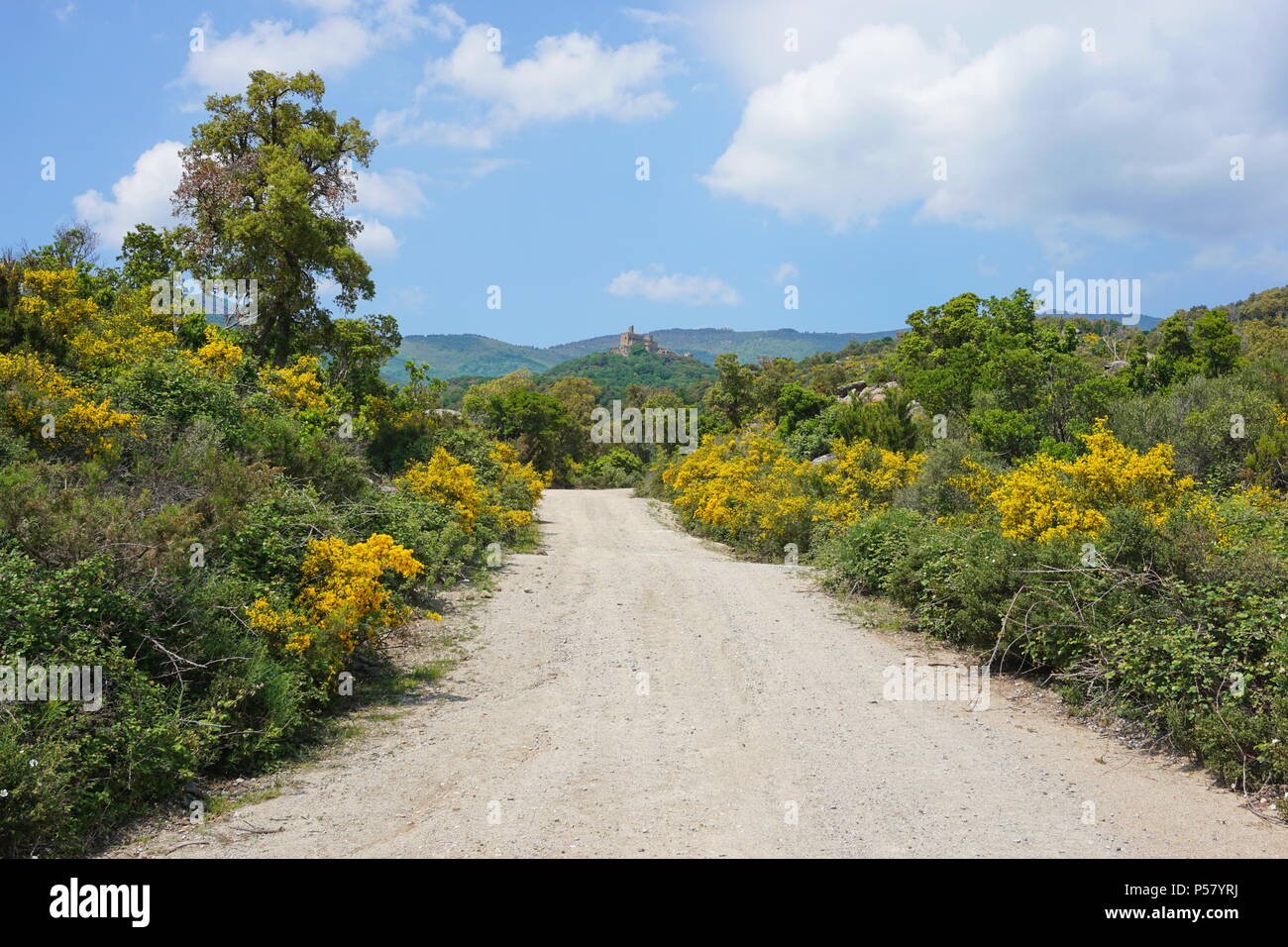 Chemin menant au château de Requesens sur le sommet de la colline, la Jonquera, Alt Emporda, Gérone, Catalogne, Espagne Banque D'Images