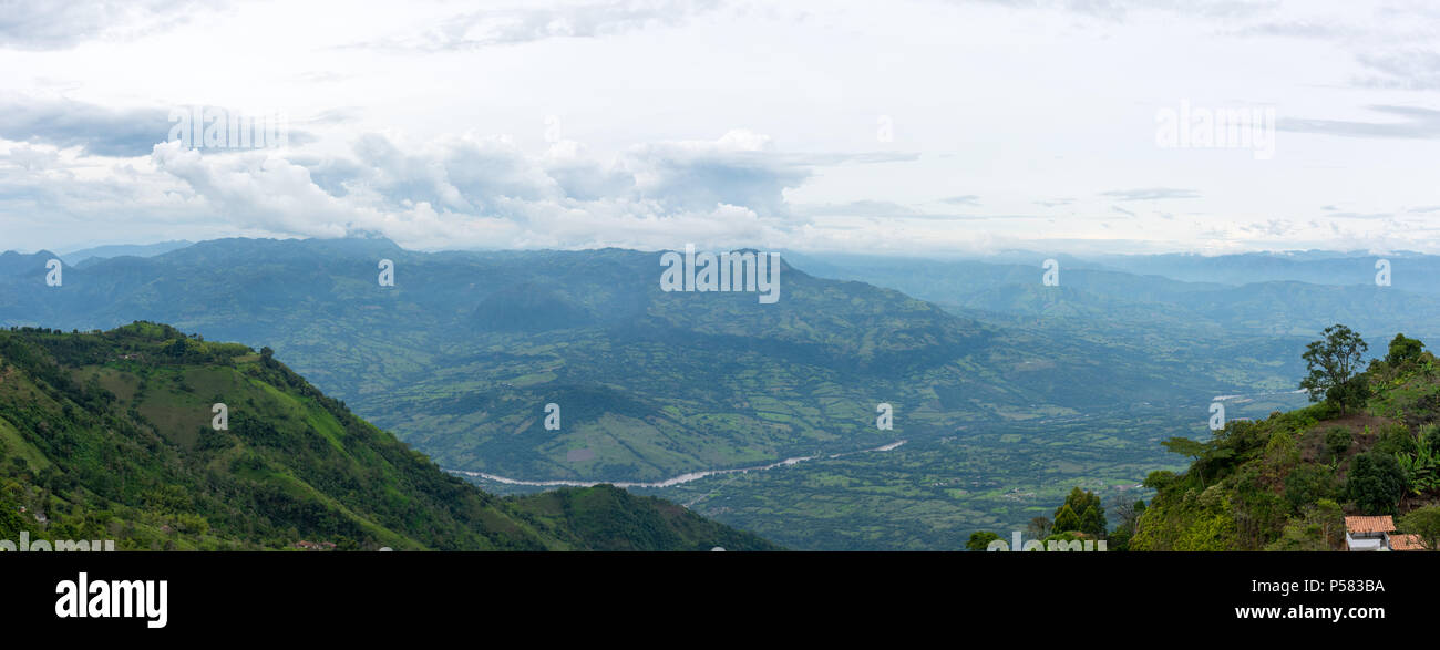 Plantation de café dans Jerico, Colombie dans l'état d'Antioquia avec la vue sur la rivière Cauca en être background Banque D'Images