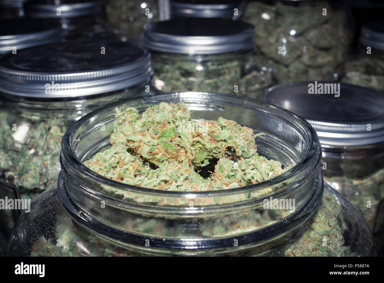 Jarre clair ouvert avec les mauvaises herbes et les bourgeons vert alimentation endles en arrière-plan Banque D'Images