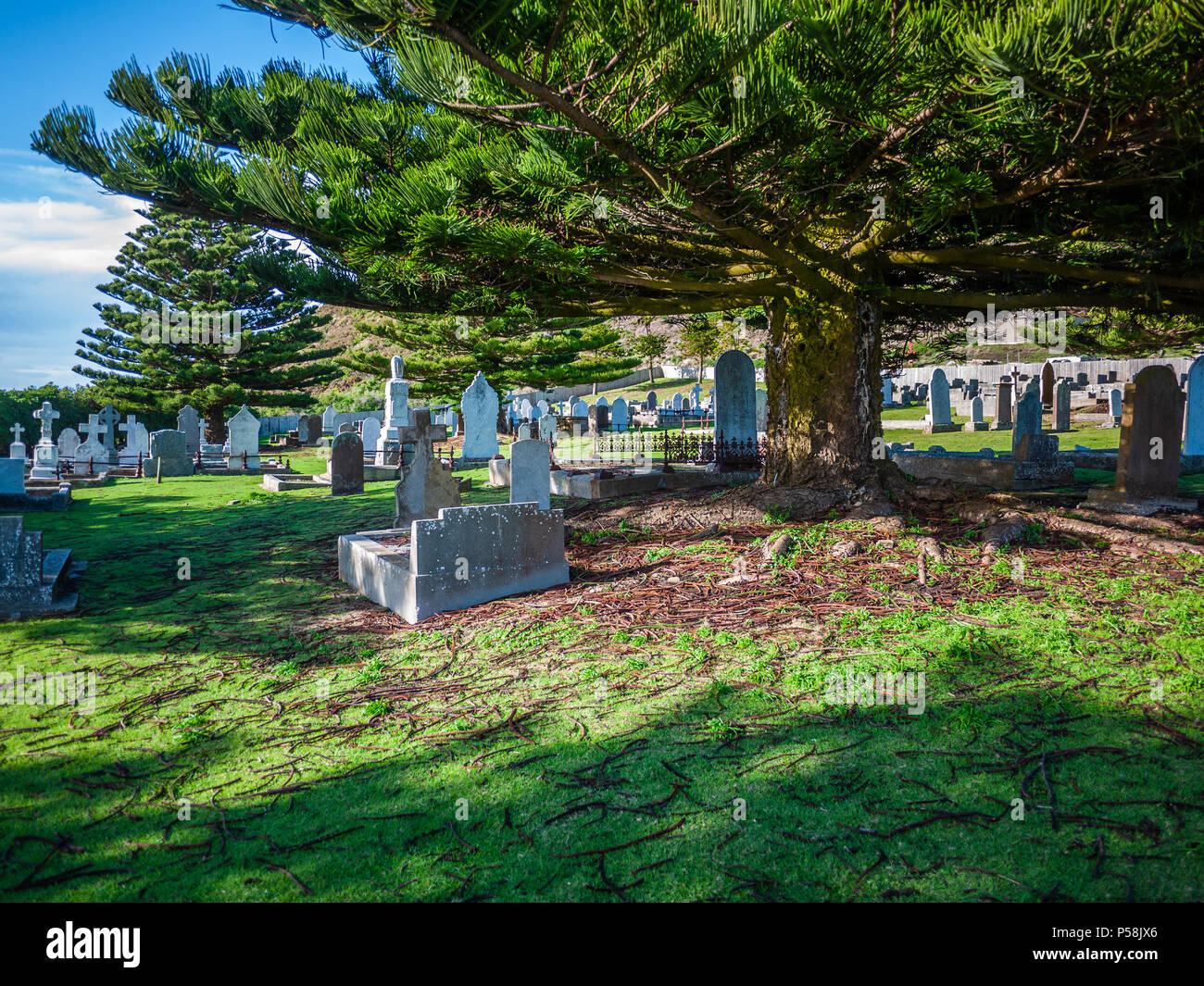 La pierre tombale et tombes de cimetière. Vieilles tombes de pierre dans son cimetière. Vieux Cimetière Stanley, ville de Stanley, Tasmanie, Australie Banque D'Images
