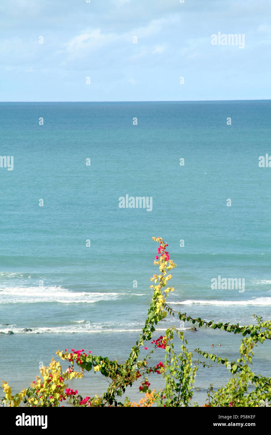 Plage de Pipa, Tibau do Sul, Rio Grande do Norte, Brésil Banque D'Images