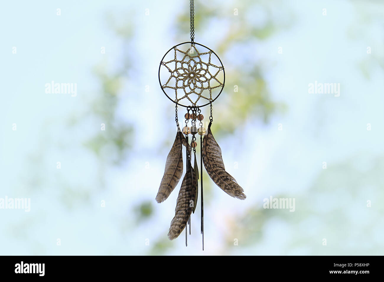 Un dreamcatcher contre un arrière-plan flou de feuilles. Banque D'Images