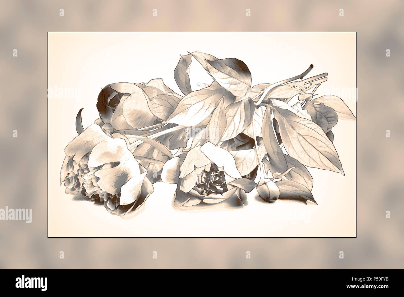 Image abstraite sous la forme d'une photo avec un bouquet de pivoines dans le style d'un dessin au crayon. Banque D'Images