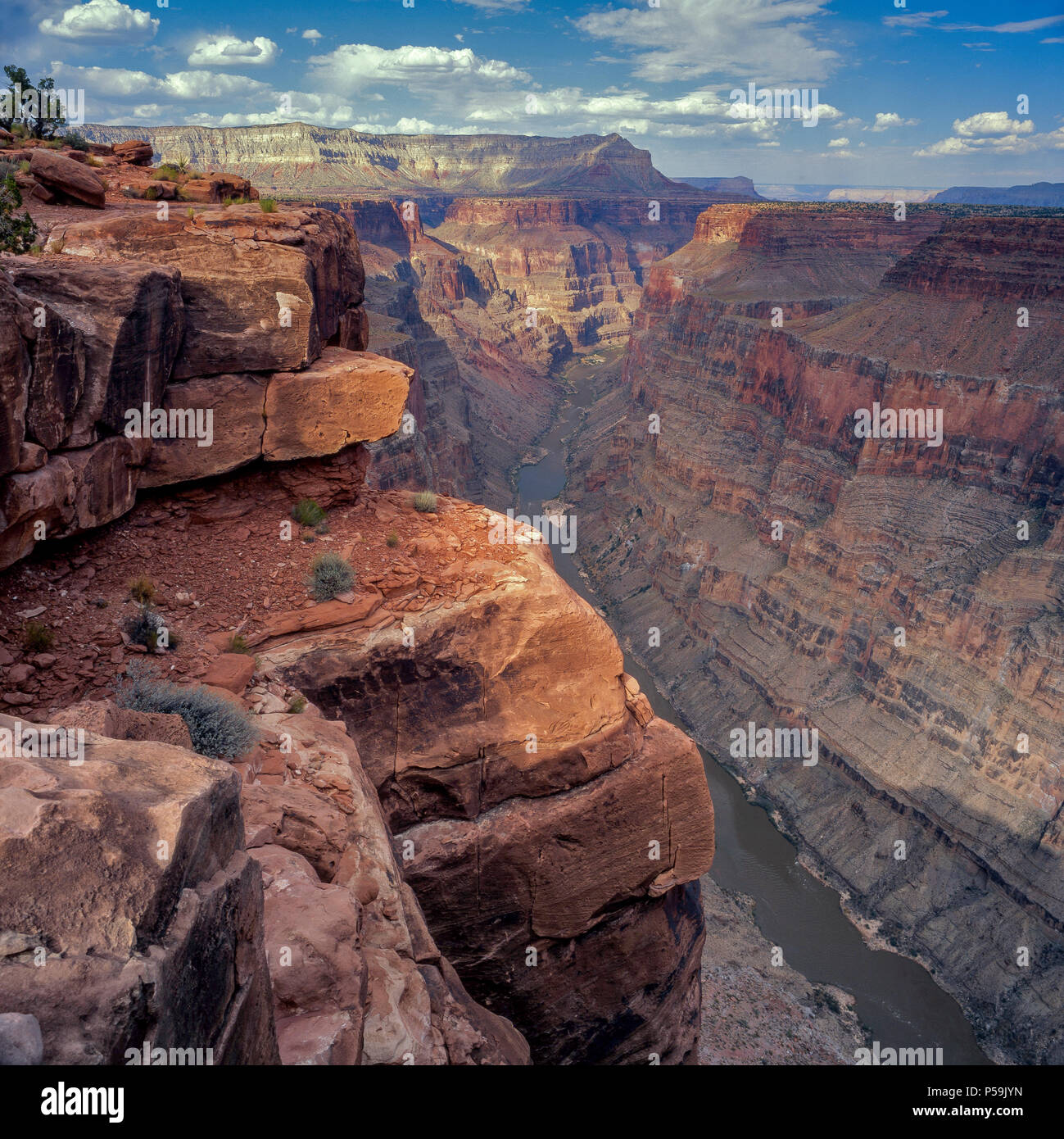 Colorado River, Toroweap, donnent sur le Parc National du Grand Canyon, Arizona Banque D'Images