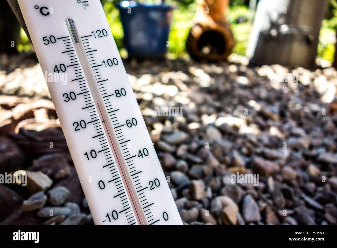 , Leominster Herefordshire, UK. 26 Juin, 2018. Un jardin thermomètre est vu la lecture de 25 °C/77 °F à l'ombre comme la canicule juin hits le Royaume-Uni, vu dans un jardin arrière en Leominster Herefordshire, le 26 juin 2018 Crédit : Jim Wood/Alamy Live News Banque D'Images
