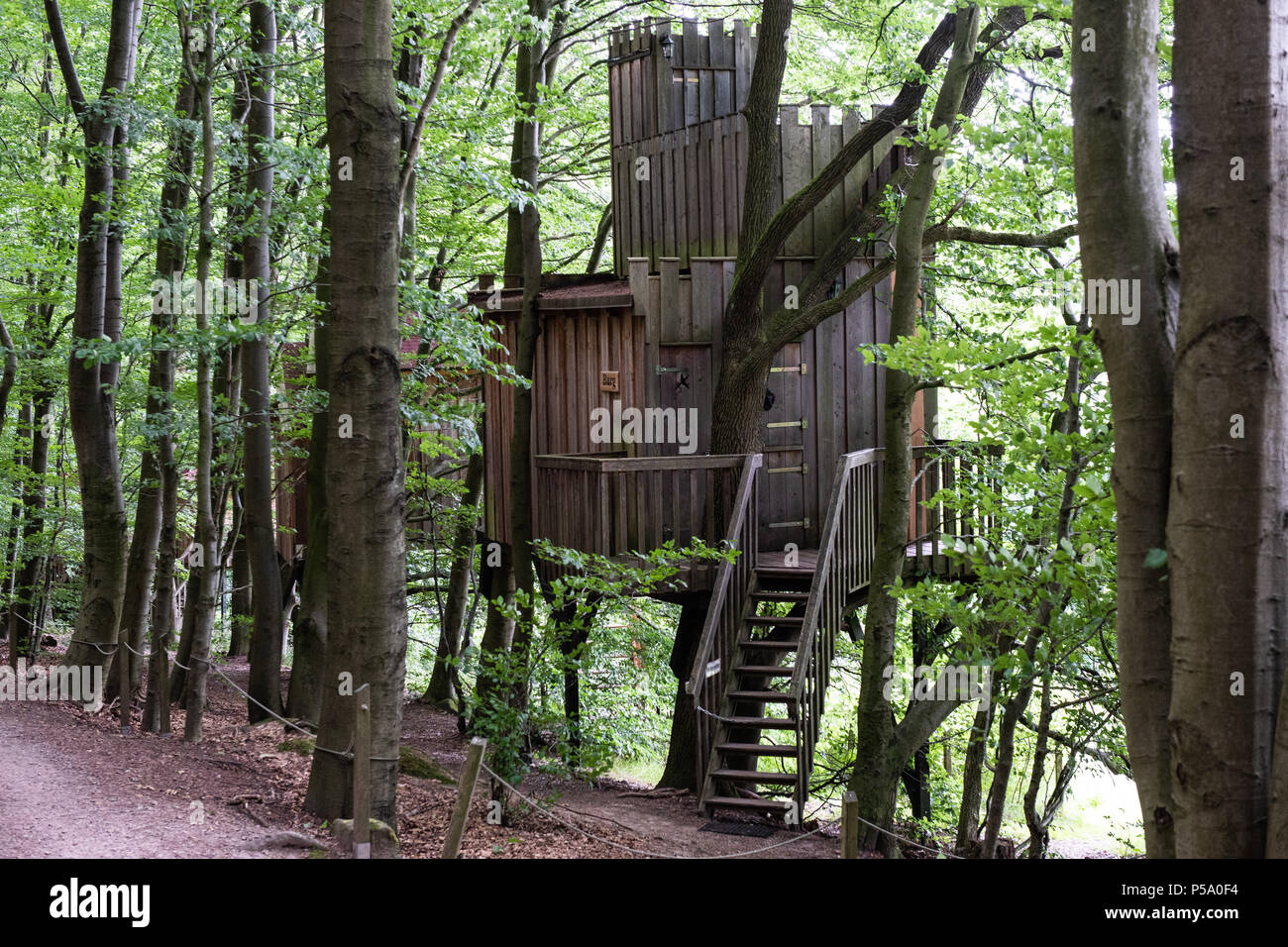 Allemagne, Uslar. 21 Juin, 2018. Une maison de l'arbre nommé "Burg" peut être vu dans la forêt de l'aventure Solling. Credit : Swen Pförtner/dpa/Alamy Live News Banque D'Images