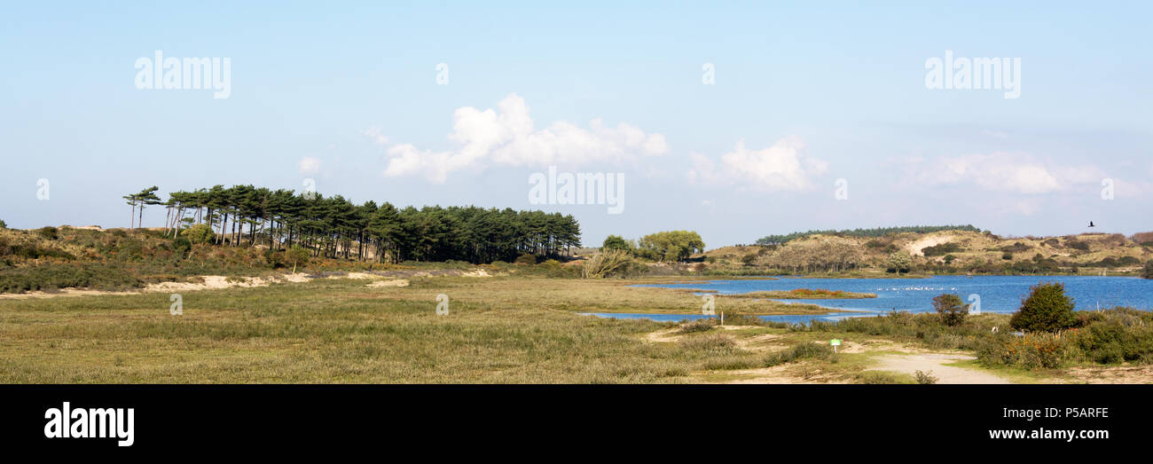 Paysage typique des Pays-Bas dans la zone côtière de la Hollande du Nord, appelé Kennemerduinen avec lake (Vogelmeer), arbres, beau temps, ciel bleu et nuages Banque D'Images