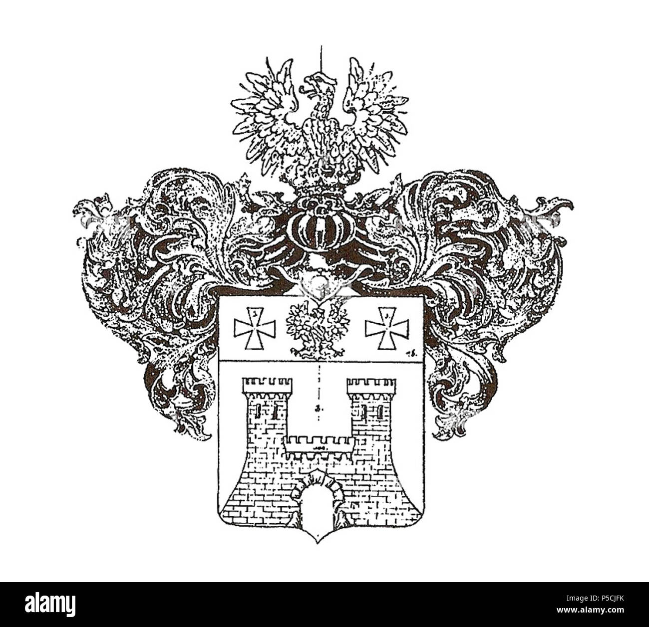 N/A. Anglais : : Armoiries de la famille de Chebyshev . 1860. Inconnu 335 RU Chebyshev COA 16-1 Banque D'Images