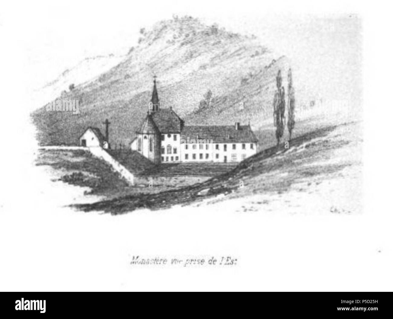 51 Abbaye de la Grâce-Dieu (4) Banque D'Images