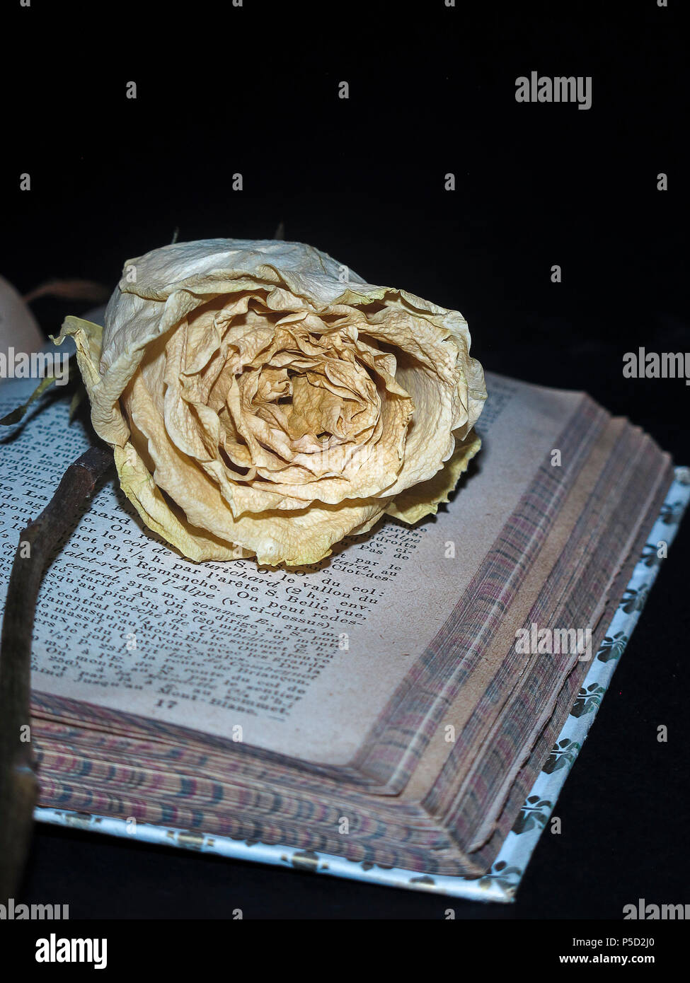 Rose fané placé sur le couvercle d'un vieux livre ouvert Banque D'Images