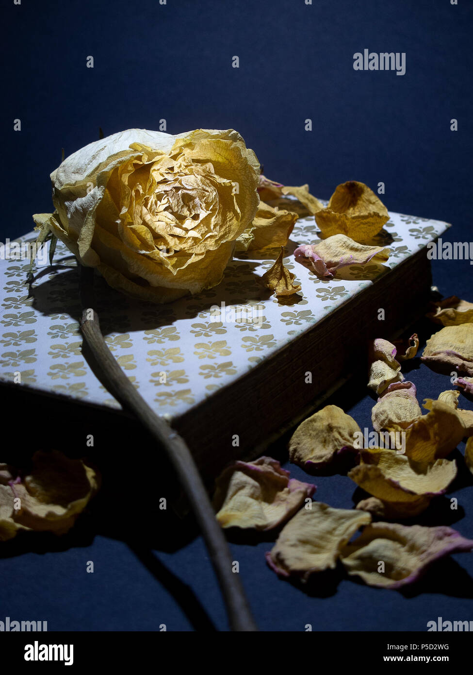 Rose fané placé sur le couvercle d'un vieux livre fermé, avec des pétales de rose éparpillés autour de Banque D'Images