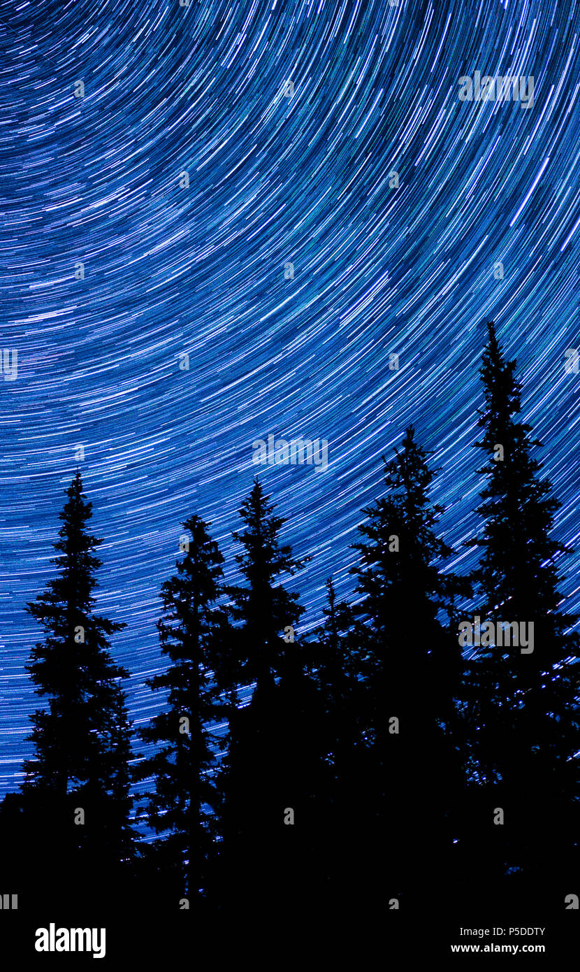 Un ciel de nuit dans la forêt Banque D'Images