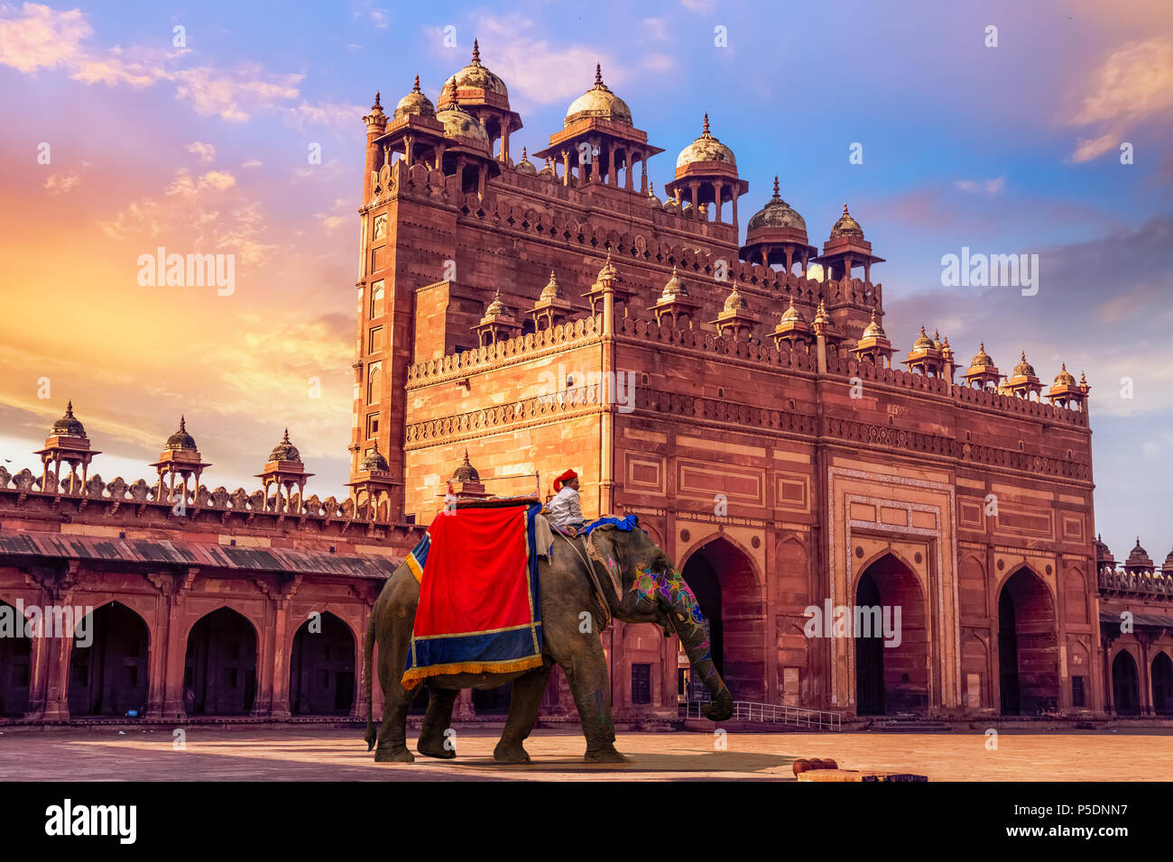 Décoré d'éléphants indiens en face de Buland Darwaza Fatehpur Sikri Agra au coucher du soleil. Banque D'Images