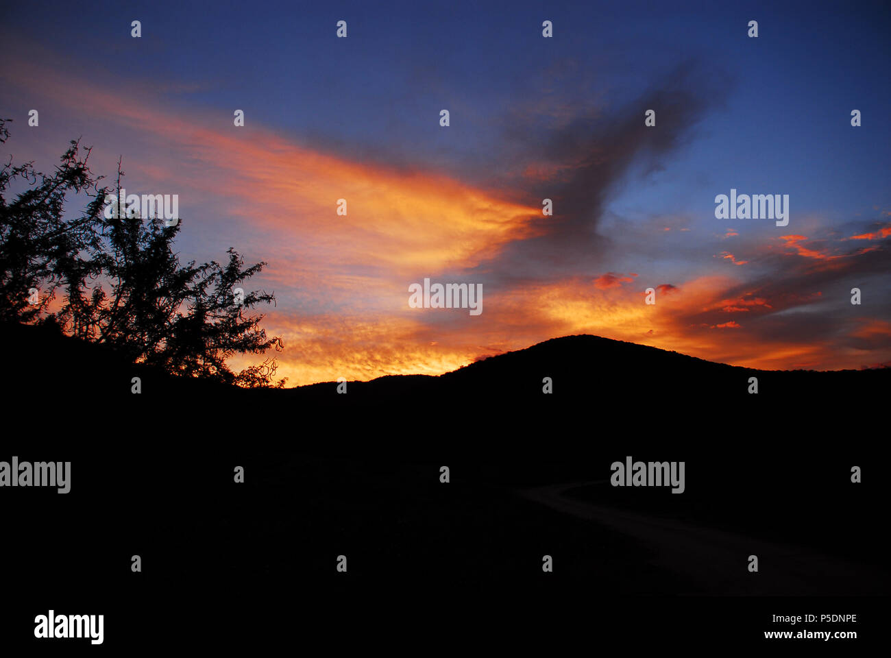 Un superbe coucher du soleil de safari dans le désert d'Afrique du Sud crée un contexte pour tout support de présentation. Banque D'Images