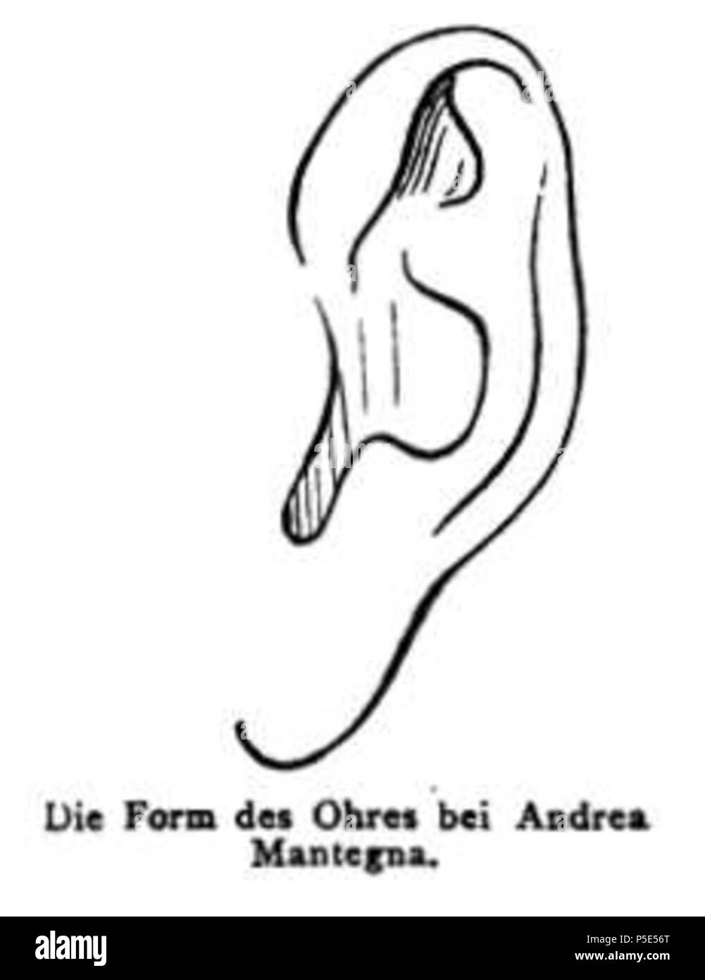 N/A. Ivan Lermolieff (pseudonyme) : Die Werke Italienischer Meister à den Galerien von München, Dresden und Berlin. Leipzig 1880. Bild 2 Seite 104 . 1880. Giovanni Morelli (* 25. Februar 1816, Vérone ; † 28. Februar 1891, Mailand) 453 Die Werke Italienischer Meister (Morelli) Bild2 Seite 104 Banque D'Images