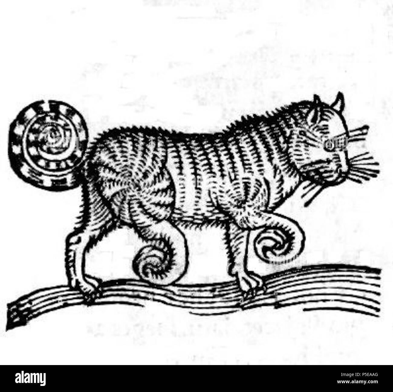 N/A. Chat, xylographie 42 x 69 mm . 1557. Conrad Lycosthenes, Konrad Wolffhart Chat 1557 334 Banque D'Images N/A. Chat, xylographie 42 x 69 mm . 1557. Conrad Lycosthenes, Konrad Wolffhart Chat 1557 334 Banque D'Images