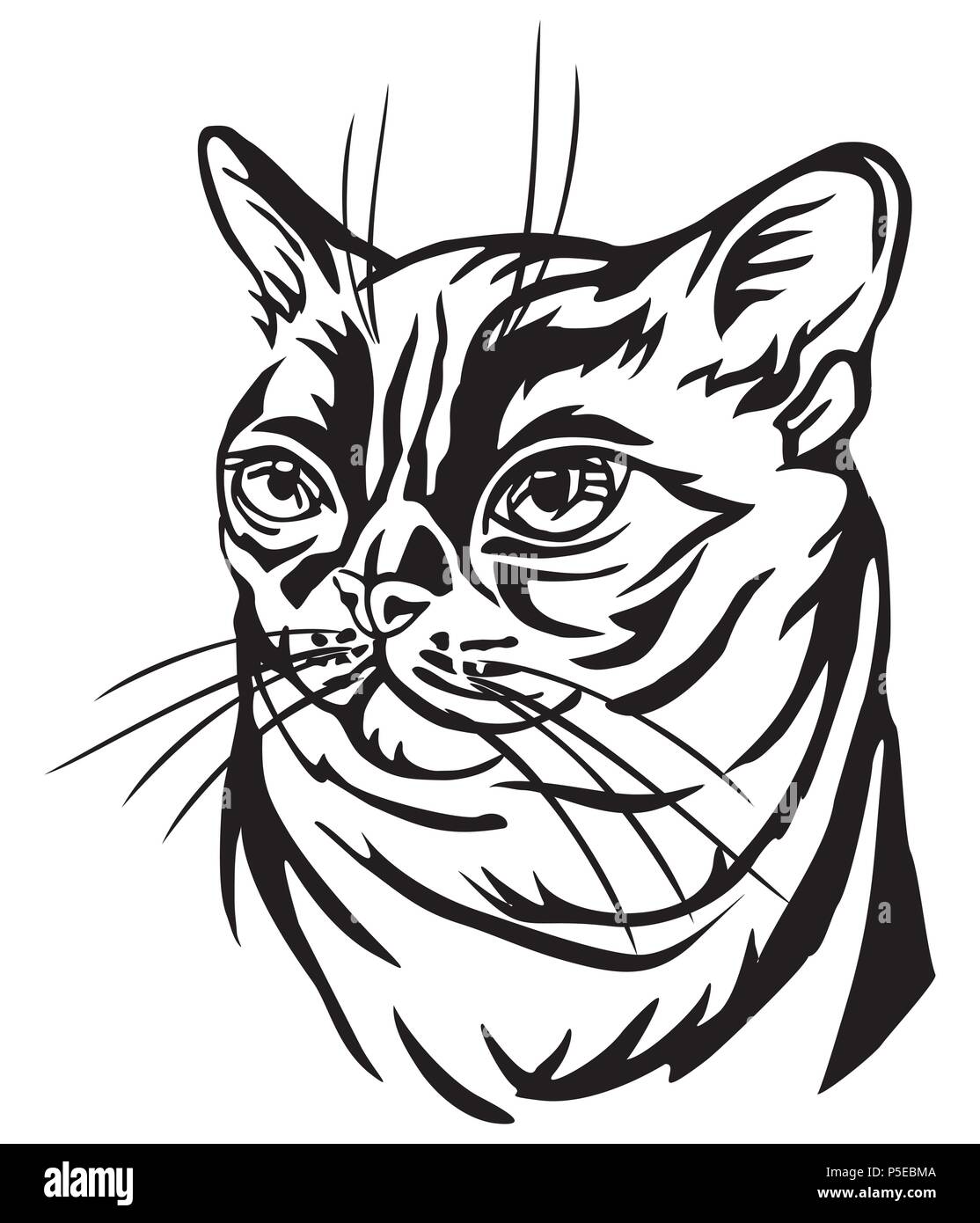Portrait de profil de décoration Chat Birman, vector illustration isolé en couleur noir sur fond blanc Illustration de Vecteur