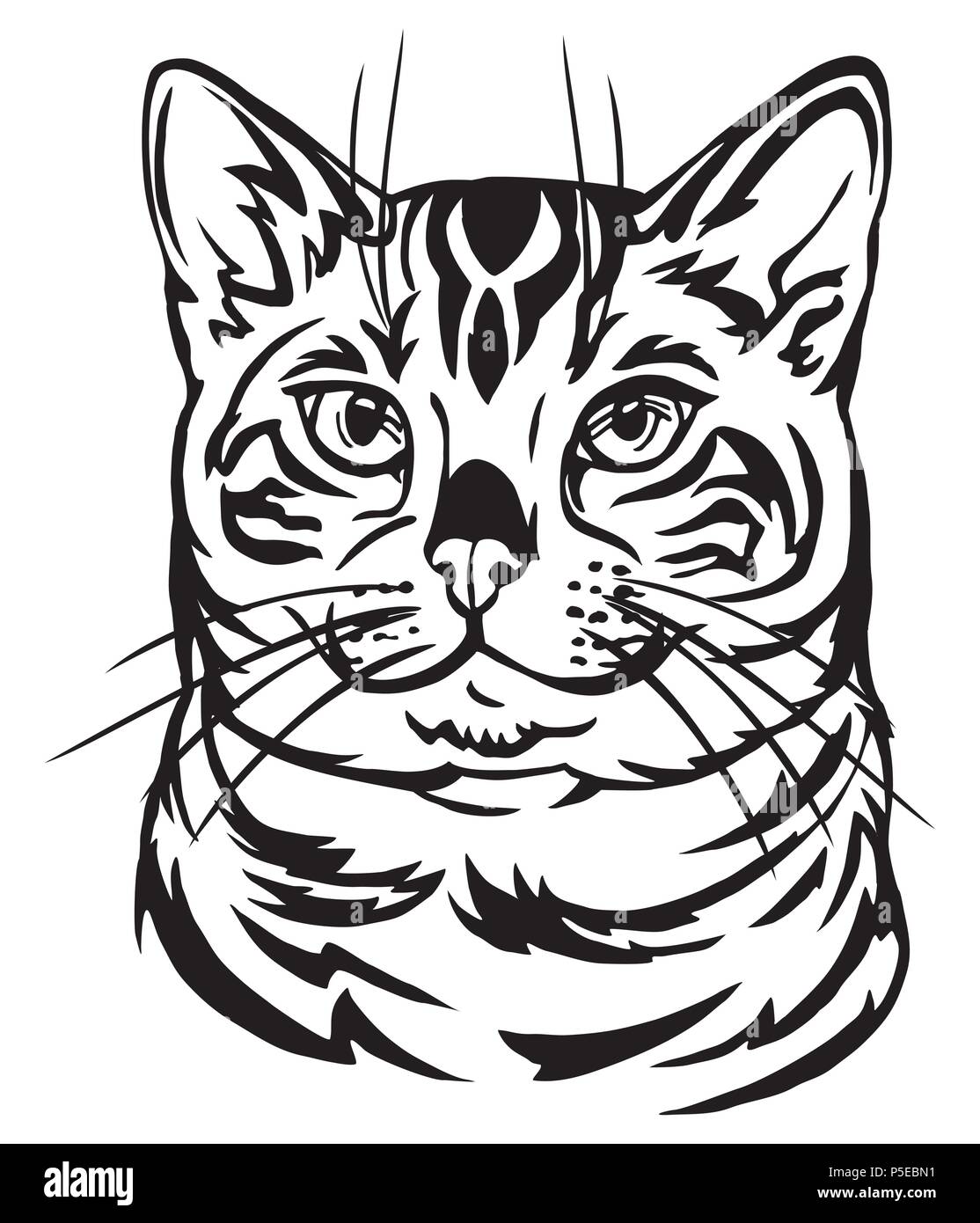 Chat Du Bengale Banque D Images Vectorielles Alamy