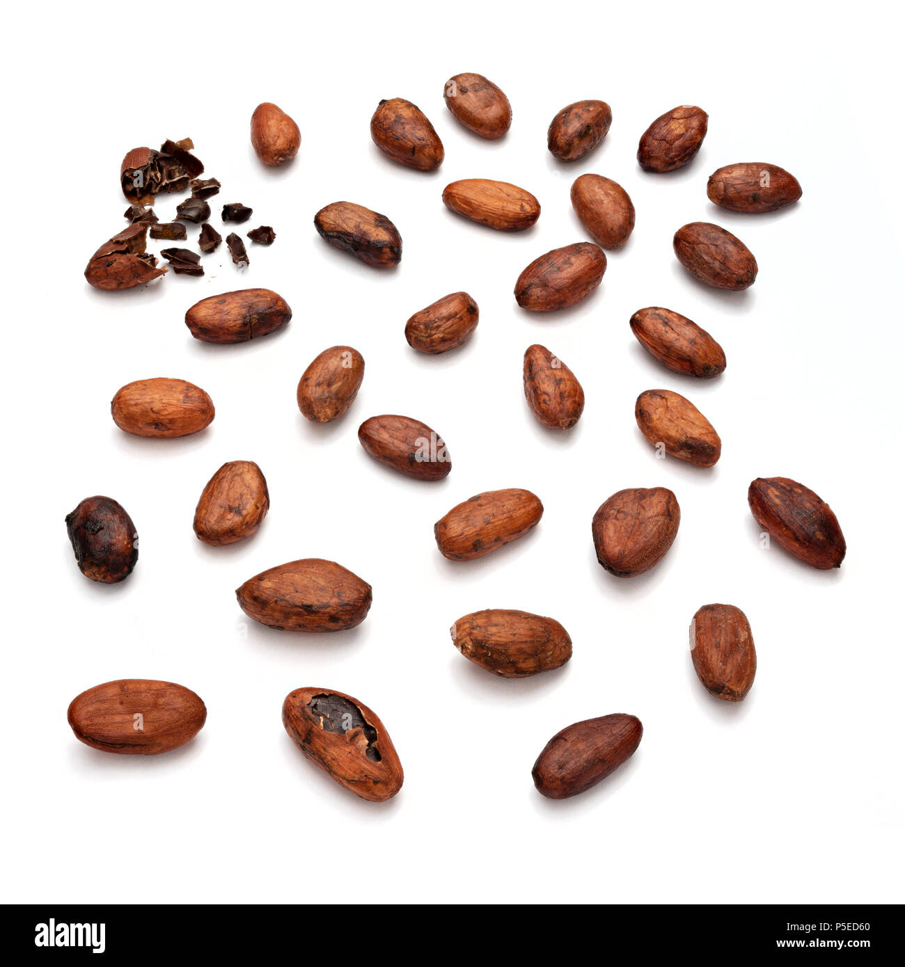 Les fèves de cacao (Theobroma cacao) photographié en studio sur un fond blanc. Banque D'Images