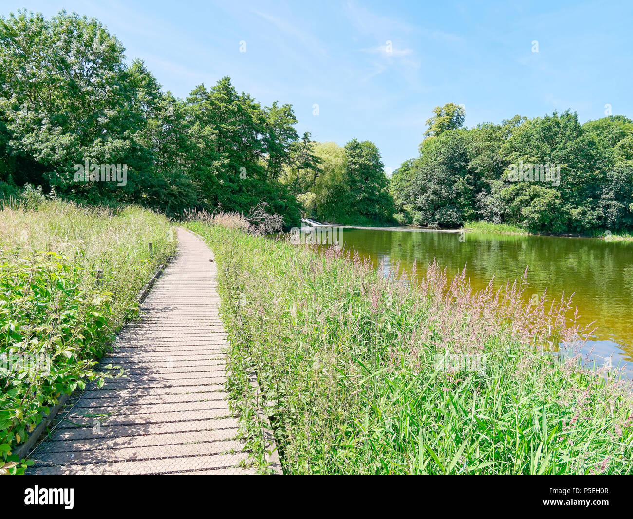 Une allée en bois qui s'exécute sur le côté de Staunton Harold réservoir, vers une petite Weir et de bois. Banque D'Images