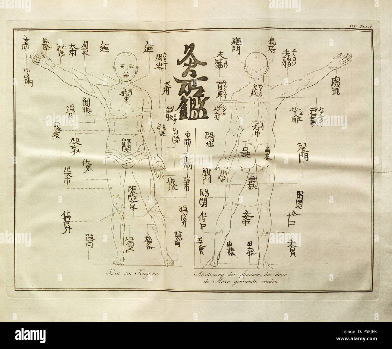 N/A. Anglais : à partir de la traduction en néerlandais de Engelbert Kaempfer : l'histoire du Japon (1727) . 1729. Engelbert Kaempfer (1651-1716) Noms alternatifs Kaempf. Description générale, médecin allemand, botaniste et japanologist Date de naissance/décès 16 Septembre 1651 2 novembre 1716 Lieu de naissance/décès Lemgo Lieme contrôle d'autorité : Q58042 : VIAF 41858358 ISNI : 0000 0001 1025 5072 RCAC : n84078543 : Botaniste Kaempf. Bibliothèque ouverte : LO236318WorldCat UN 194 Beschrijving van naaldensteek 459 Japon - pag Banque D'Images