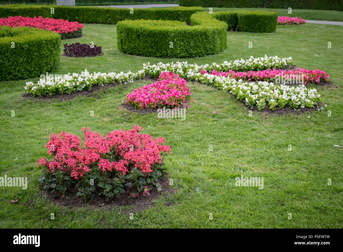 Parterre de fleurs avec divers, couvertures et pré vert au Volksgarten, Vienne (Autriche) Banque D'Images