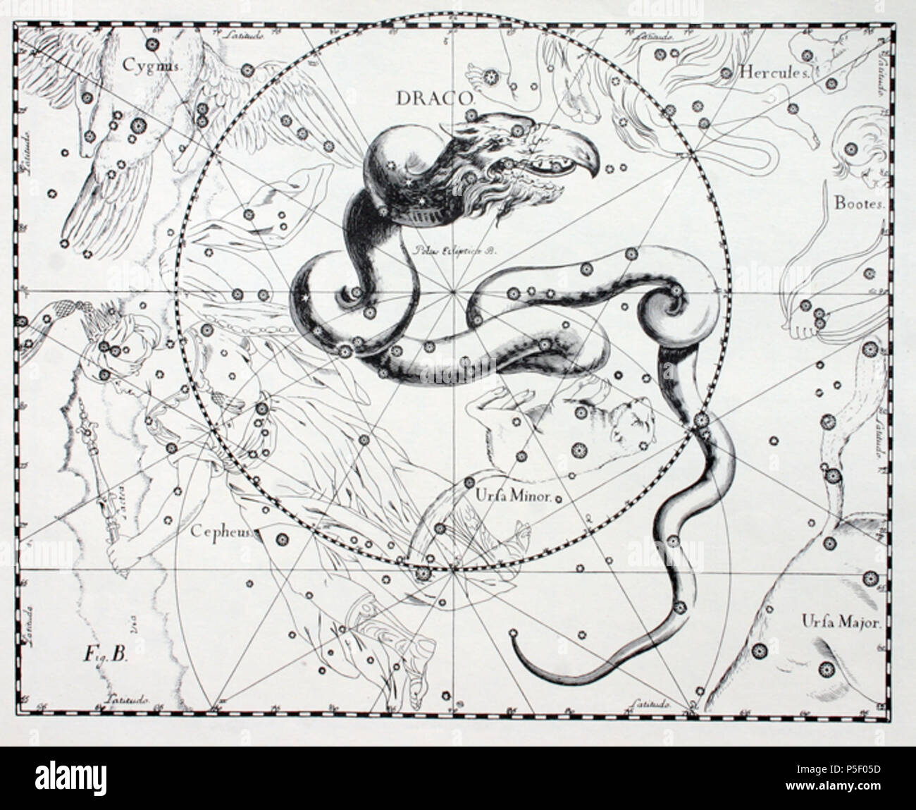 N/A. Anglais : Le fr:Draco (constellation) constellation d'Uranographia par Johannes Hevelius. Le point de vue se reflète dans la tradition des globes célestes, montrant la sphère céleste dans une vue de "dehors" : B - - , "Prodromus Astronomiae", 1690 . - , , "". 1690. Johannes Hevelius 469 Draco Hevelius Banque D'Images