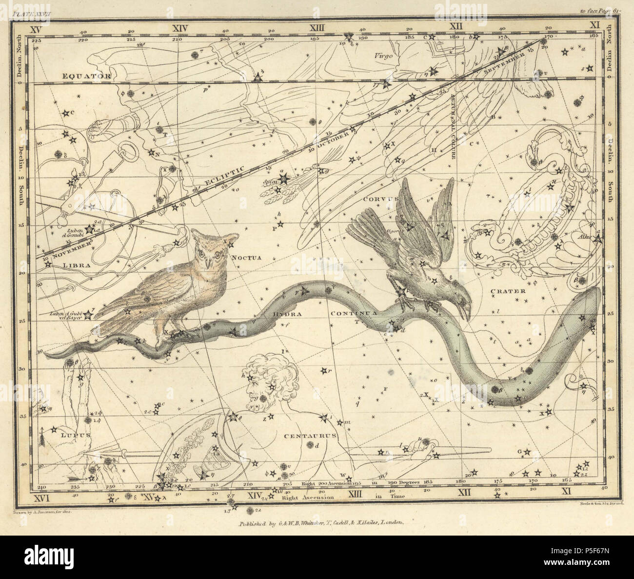 N/A. 27 de la plaque d'un atlas céleste comprenant une présentation systématique des cieux dans une série de trente cartes illustrées par la description scientifique de leur contenu et accompagnée par des catalogues de l'étoile et des exercices d'astronomie . 1822. Alexander Alexander Jamieson Jamieson 81 Atlas-Plate 27 Céleste Banque D'Images