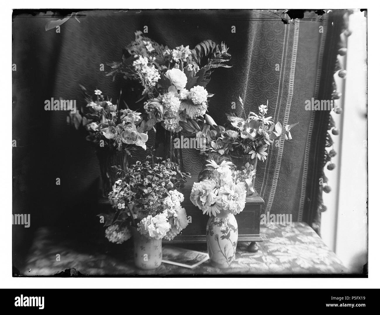 N/A. Nederlands : Beschrijving dieren en planten Bouquetten. Verjaardag tante Cato Documenttype foto Vervaardiger Olie'', Jacob (1834-1905) Collectie Collectie Jacob Olie Jbz. 8 Datering http://stadsarchief.amsterdam.nl/archief/10019 Afbeeldingsbestand juni 1898 Inventarissen 010019001168 générée avec Dememorixer . 8 juin 1898. Jacob Olie (1834-1905) Noms alternatifs Jacob Olie Jbz. Jacob Olie. Jbzn Description photographe Date de naissance/décès 19 Octobre 1834 25 avril 1905 Lieu de naissance/décès Amsterdam Amsterdam 1847-1905 Période de travail lieu de travail Amsterdam (1847- Banque D'Images