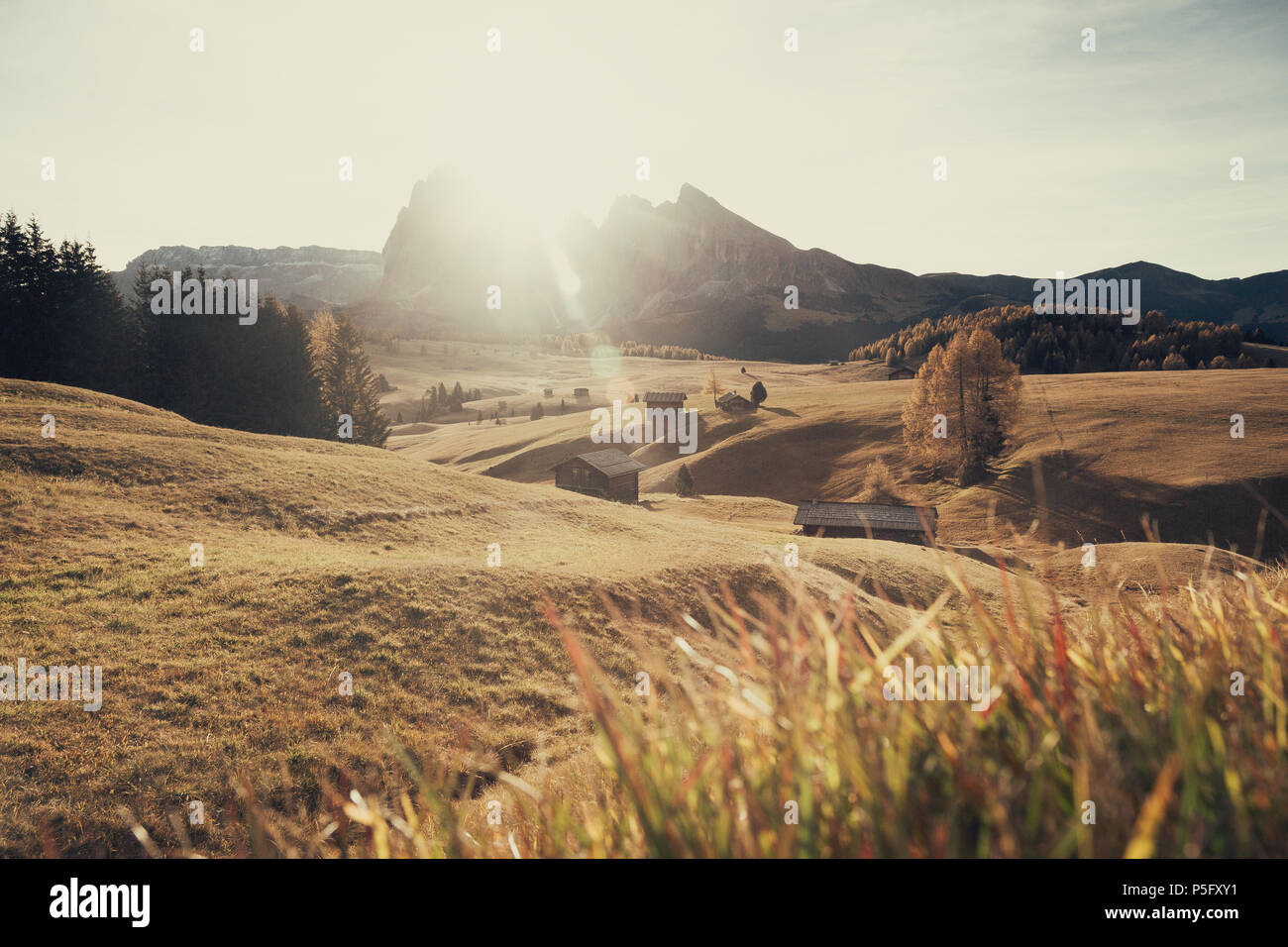 Belle vue sur la montagne chalets traditionnels en bois sur Scenic Alpe di Siusi célèbre Langkofel avec des pics de montagne dans l'arrière-plan dans la matinée d'or Banque D'Images