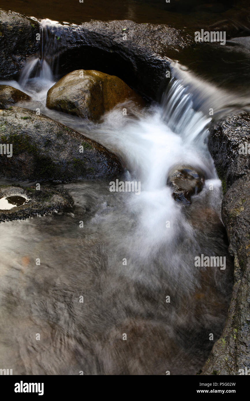 L'eau qui coule sur les rochers en stream Banque D'Images