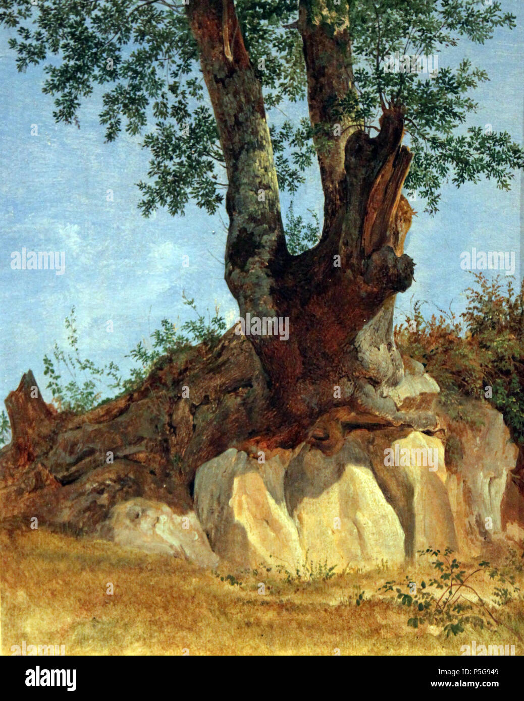 Anglais : un arbre dans la Campagna Deutsch : Ein Baum dans der Campagna : 1822. N/A 28 1822 Reinhold Ein Baum dans der Campagna anagoria Banque D'Images