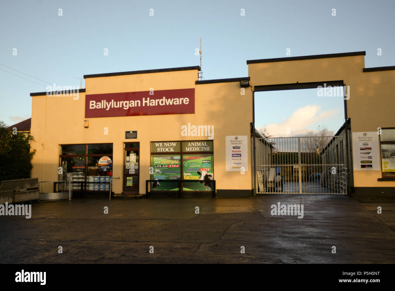 Fivemiletown, comté de Fermanagh, en Irlande du Nord, Royaume-Uni. 3 novembre 2013. Des scènes de rue pour la ville de Fivemiletown Banque D'Images