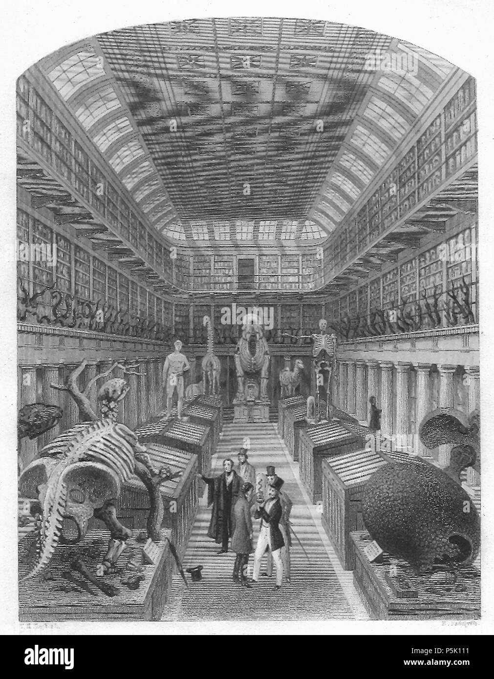 N/A. Anglais : Hunterian Museum, gravure sur bois . 1853. Sheperd et Radclyffe 29 1853 - le Hunterian Museum Banque D'Images