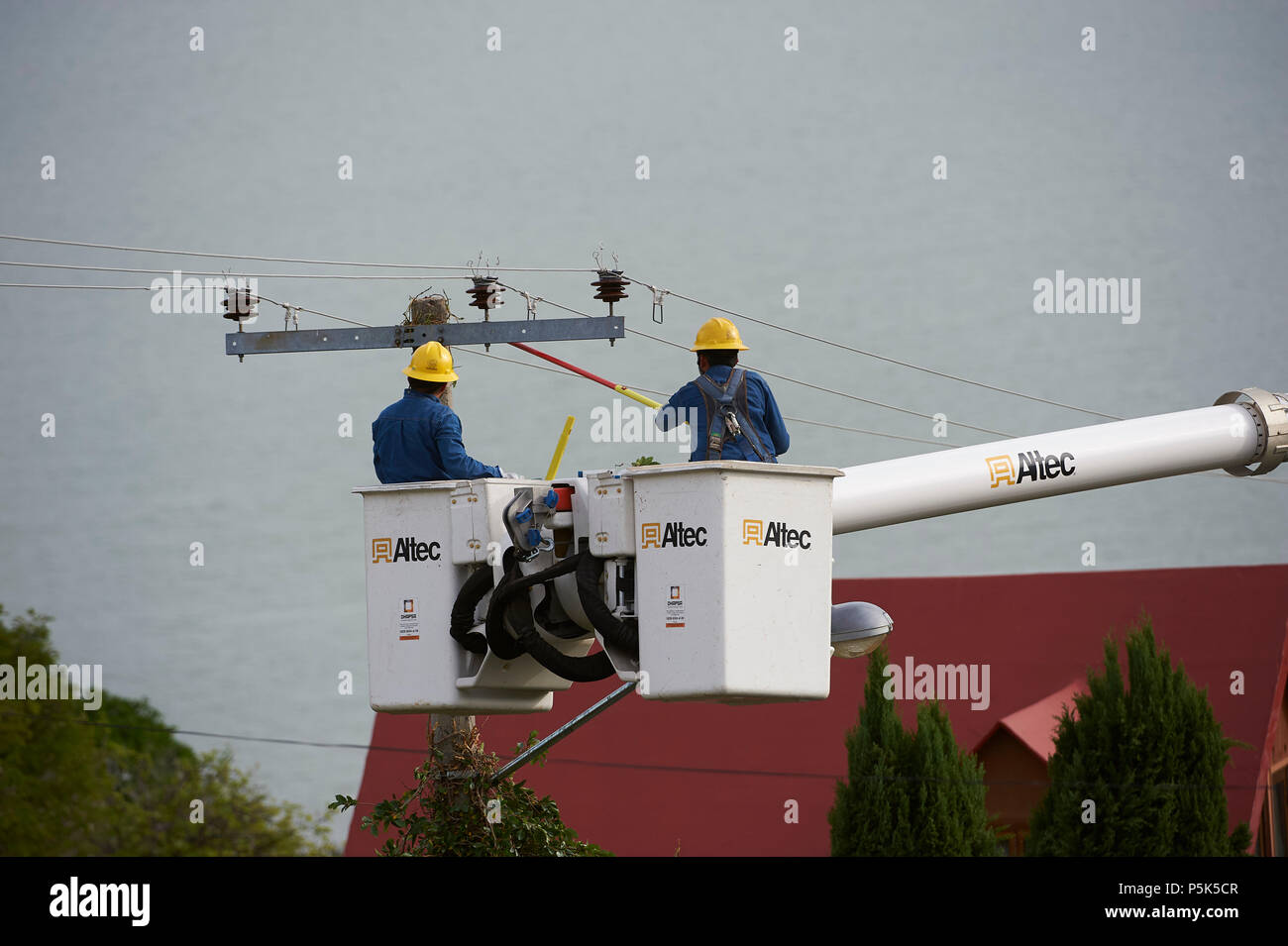 Les travailleurs de l'électricité de plus en plus claire vigne poteaux d'électricité et provoquer des courts-circuits et des pannes de courant - San Juan Cosala, Jalisco, Mexique Banque D'Images