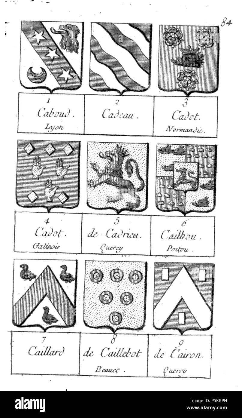 126 Armorial Dubuisson tome1 page84 Banque D'Images