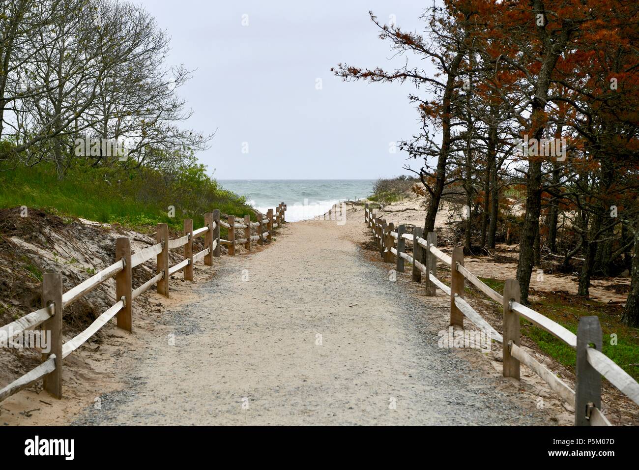 Le Cape Cod National Seashore vu de Nauset Beach, Massachusetts, USA Banque D'Images