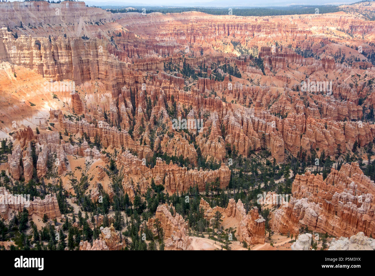 Amphithéâtre à Bryce Canyon National Park montrant les couleurs des roches sédimentaires formées par de nombreuses années d'érosion. Banque D'Images
