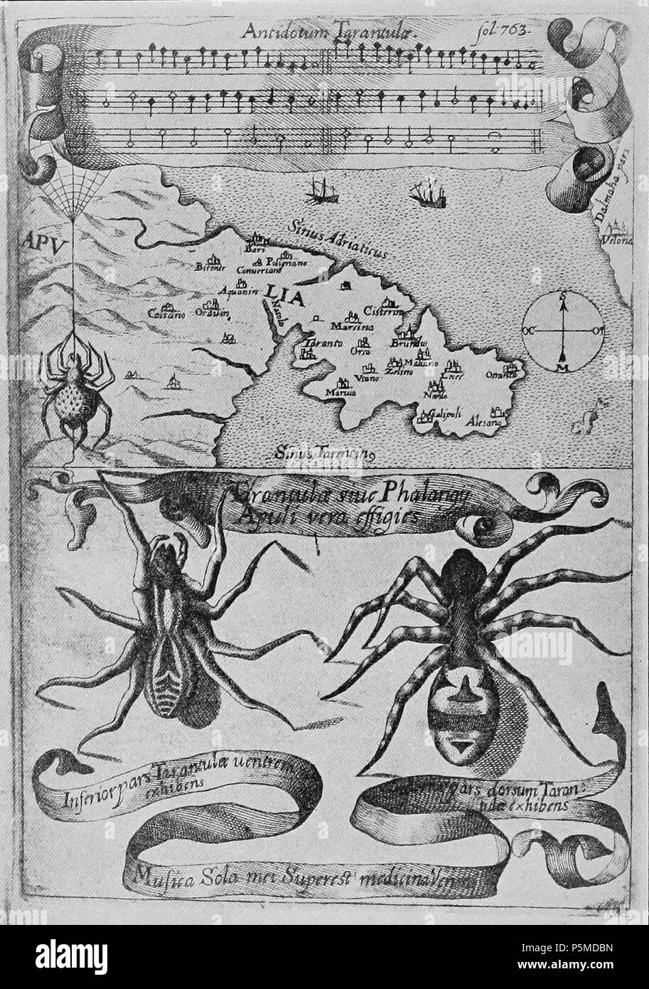 N/A. Antidotum tarantulae - musique pour le traitement de l'envenimation tarantism ou tarantula . 1673. Antidotum tarantulae Athanasius Kircher 109 Banque D'Images