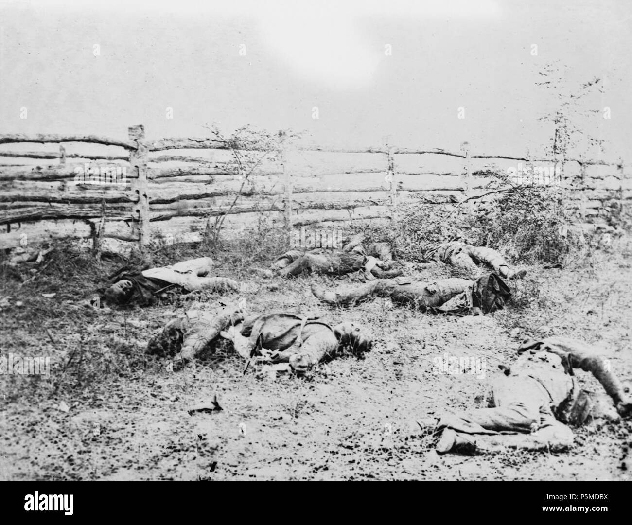 N/A. Anglais : soldats confédérés sur la bataille d'Antietam comme ils sont tombés à l'intérieur de la clôture sur le Hagerstown road, septembre 1862 . Septembre 1862. Alexander Gardner (1821-1882) Noms alternatifs Alex. Gardner ; A. Gardner ; Alexander Description photographe écossais Gardiner et photographe de guerre Date de naissance/décès 17 Octobre 1821 10 décembre 1882 Lieu de naissance/décès Paisley Washington D.C. 1856-1871 Période de travail lieu de travail Washington D.C. le contrôle d'autorité : Q661176 VIAF:57416946 ISNI:0000 0000 8137 0767 ULAN:500115196 RCAC:n:NLA79060231 35905780 109 M, Antietam WorldCat Banque D'Images