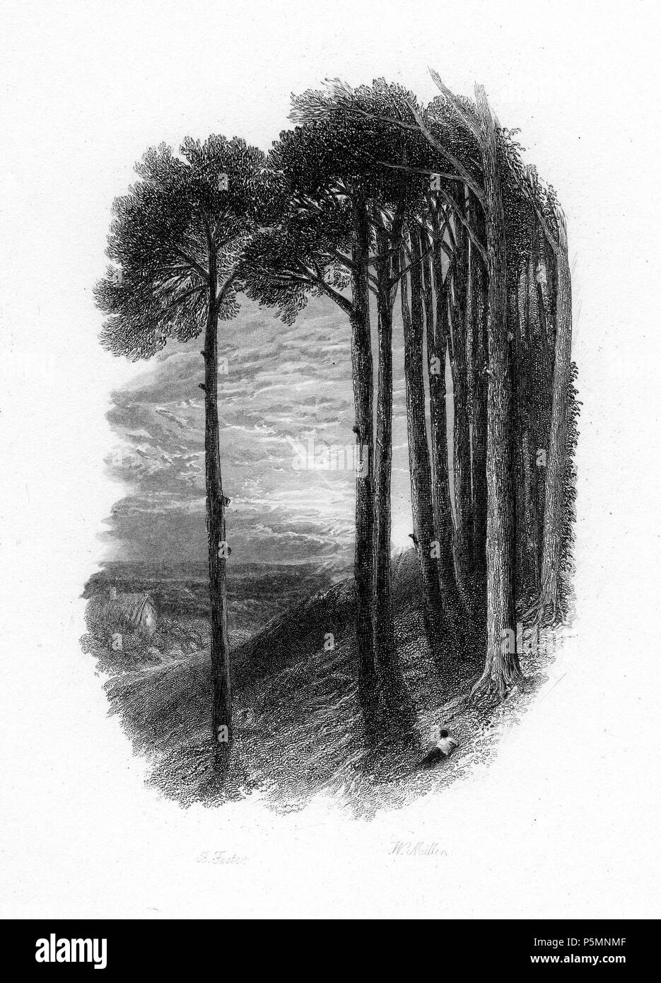 N/A. English : 'Je me souviens je me souviens, je me souviens, les sapins sombre et haute', gravure de William Miller après Birket Foster, publié dans les Poèmes de capot p102, illustré par Birket Foster, E. Moxon, Son & Co., London 1872 . 1872. William Miller (1796-1882) 2 "Je me souviens, je me souviens, les sapins sombre et haute' Gravure de William Miller après Birket Foster Banque D'Images