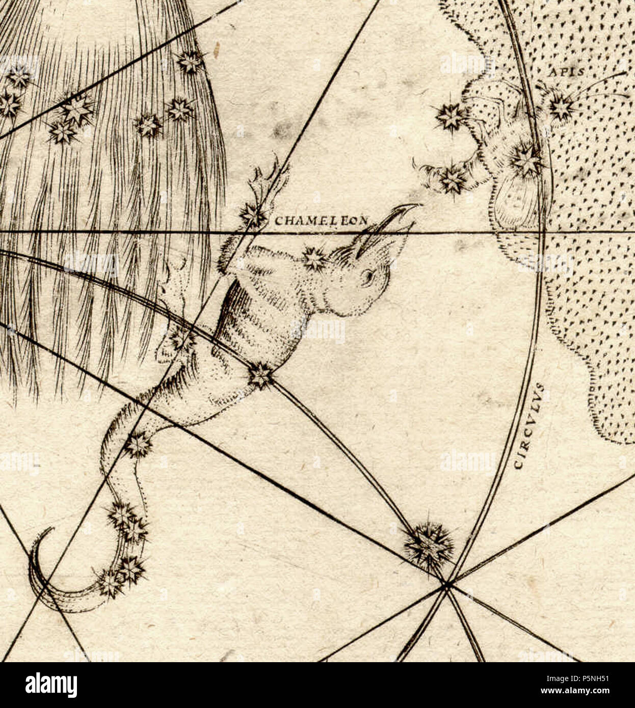 N/A. Musca (API) en vue d'être mangé par fr:Chamaeleon dans l'Uranometria de Johann Bayer, 1603 le premier atlas céleste pour inclure les constellations du sud. 1603. Johann Bayer 178 BayerMusca Banque D'Images