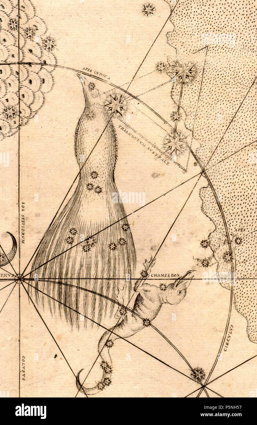 N/A. Anglais : Détail de l'Uranometria de Johann Bayer 1603, montrant les constellations Apus, Chamaeleon et Triangulum australe . 2 janvier 1603. Johann Bayer 1791661apuschamtri BayerUran Banque D'Images