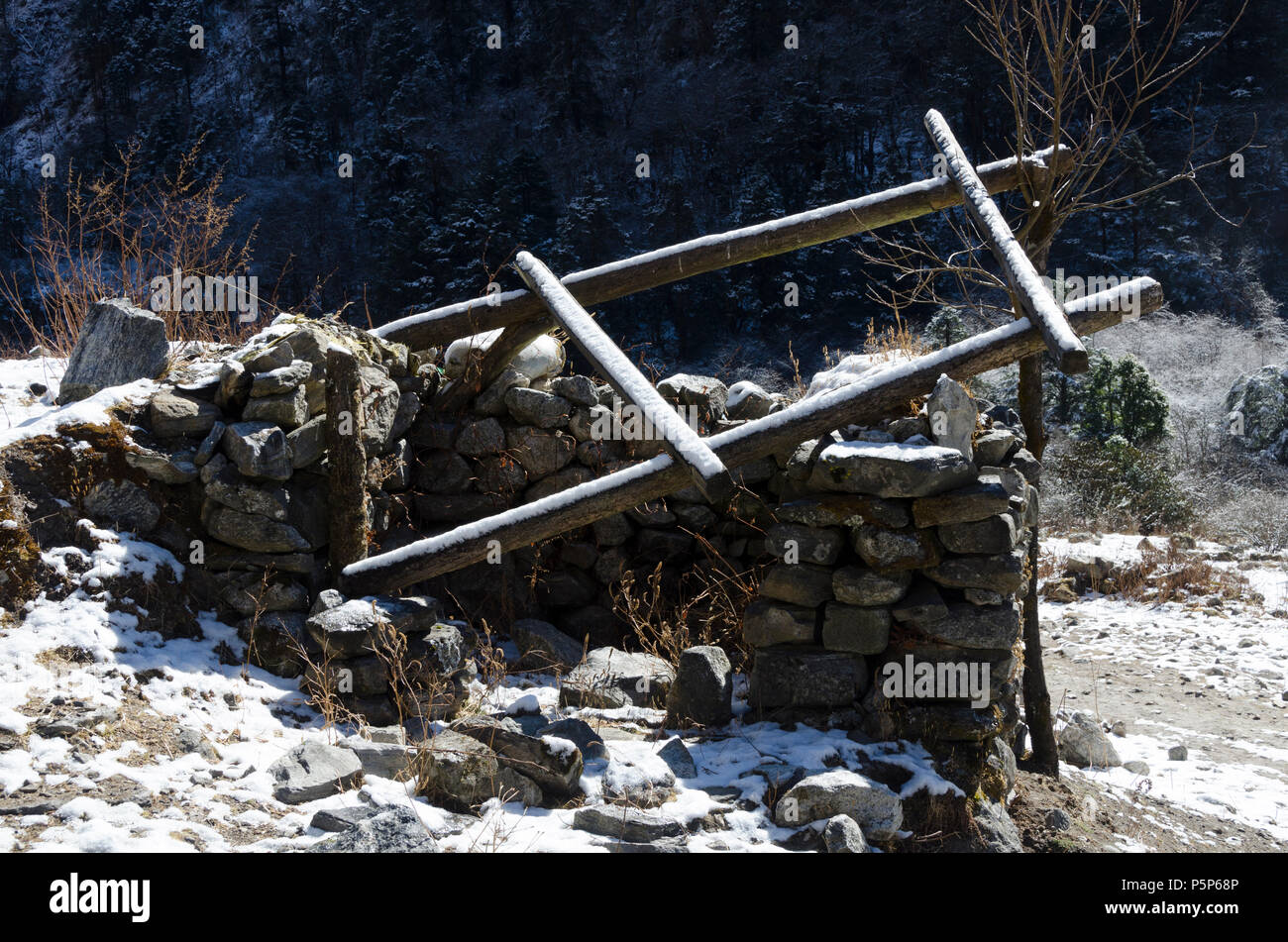 Vestiges de bâtiment endommagé, Ghode séisme Tableau, Langtang, Népal Banque D'Images